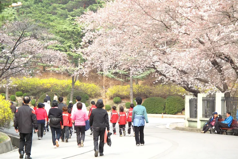 Duryu Park in spring